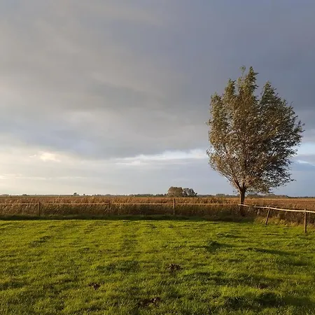 Benb Zuidoord * Zuidland
