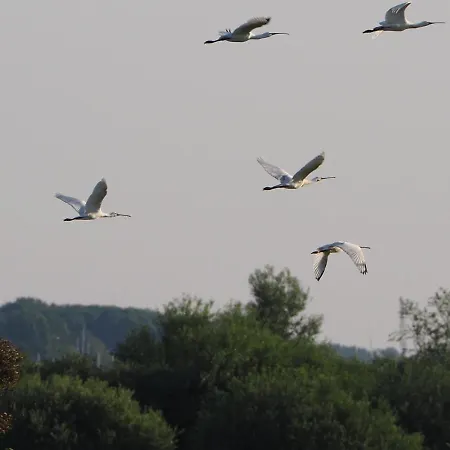 Benb Zuidoord Bed & Breakfast Zuidland