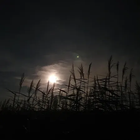 Bed & Breakfast Benb Zuidoord