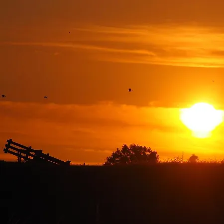 Benb Zuidoord Bed & Breakfast 3*