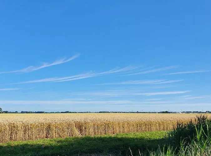 Benb Zuidoord Oda ve Kahvaltı Zuidland