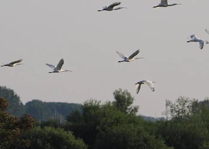 Benb Zuidoord Oda ve Kahvaltı Zuidland