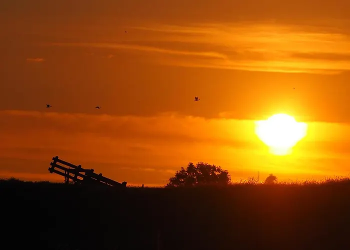 Benb Zuidoord Oda ve Kahvaltı 3*