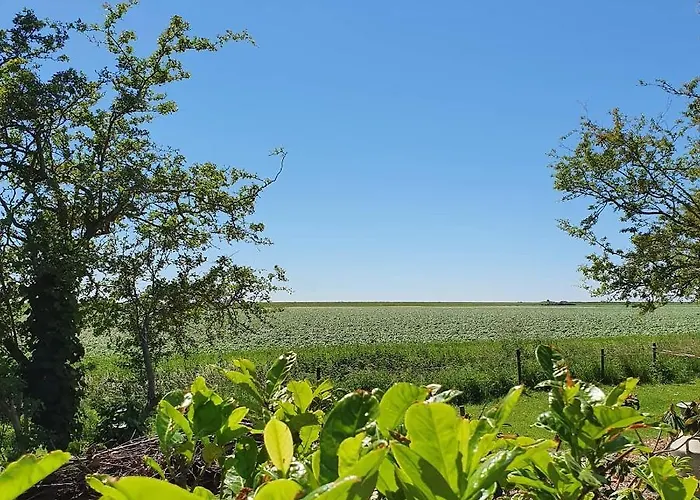 Benb Zuidoord Zuidland