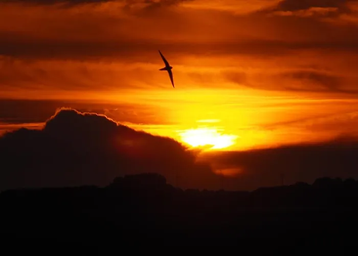 Benb Zuidoord 3* Zuidland