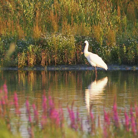 Benb Zuidoord Bed & Breakfast Zuidland