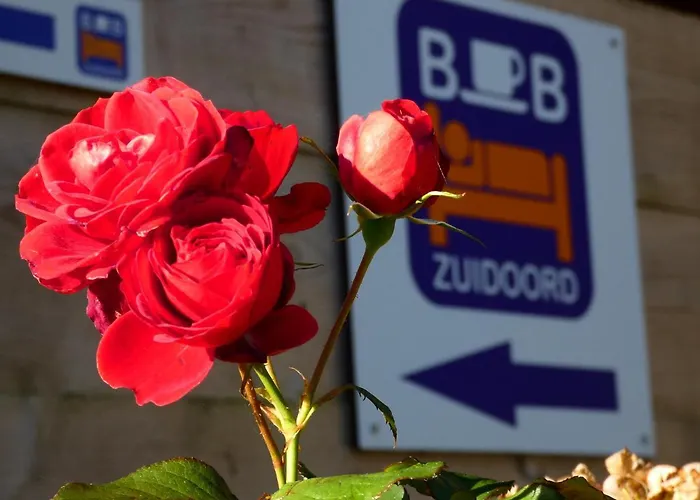 Benb Zuidoord Zuidland