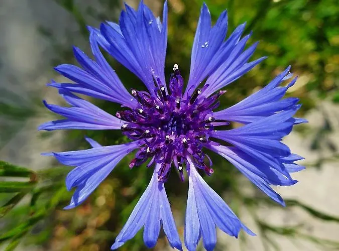 Bed & Breakfast Benb Zuidoord