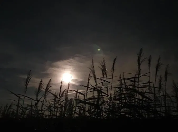 Bed & Breakfast Benb Zuidoord