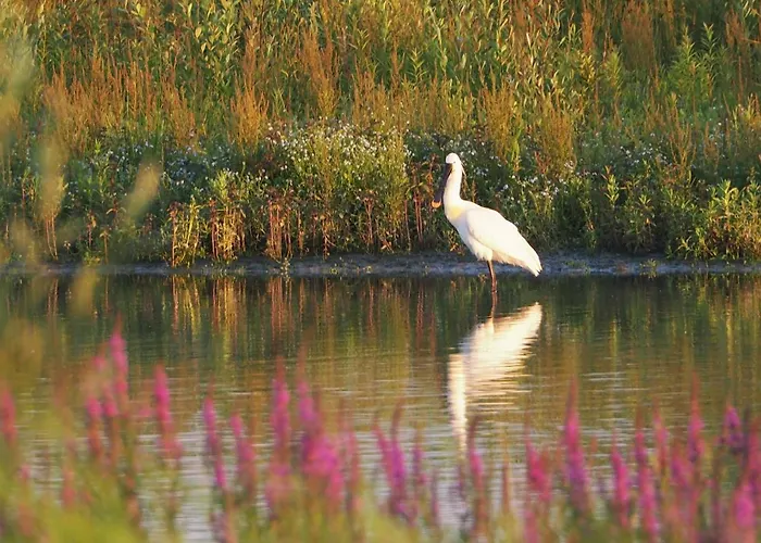 Benb Zuidoord Bed & Breakfast Zuidland