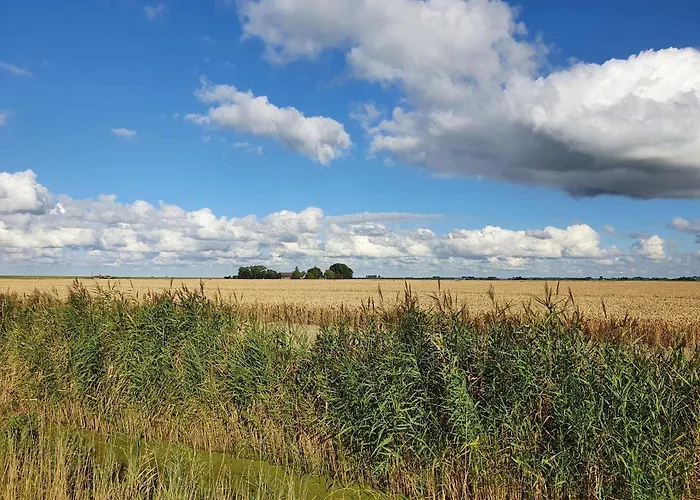 Bed & Breakfast Benb Zuidoord 3*